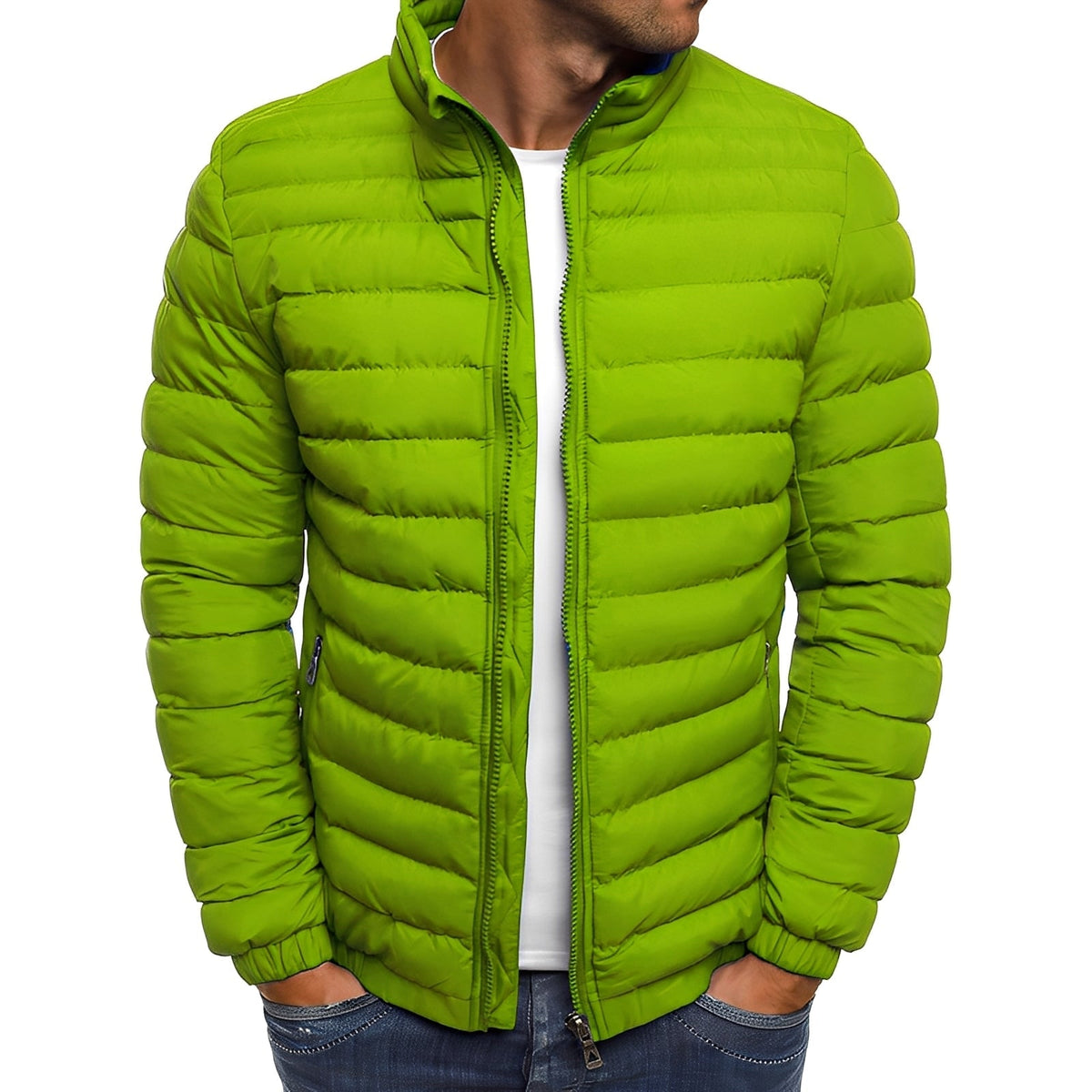 Bernard - Manteau exceptionnel et chaleureux