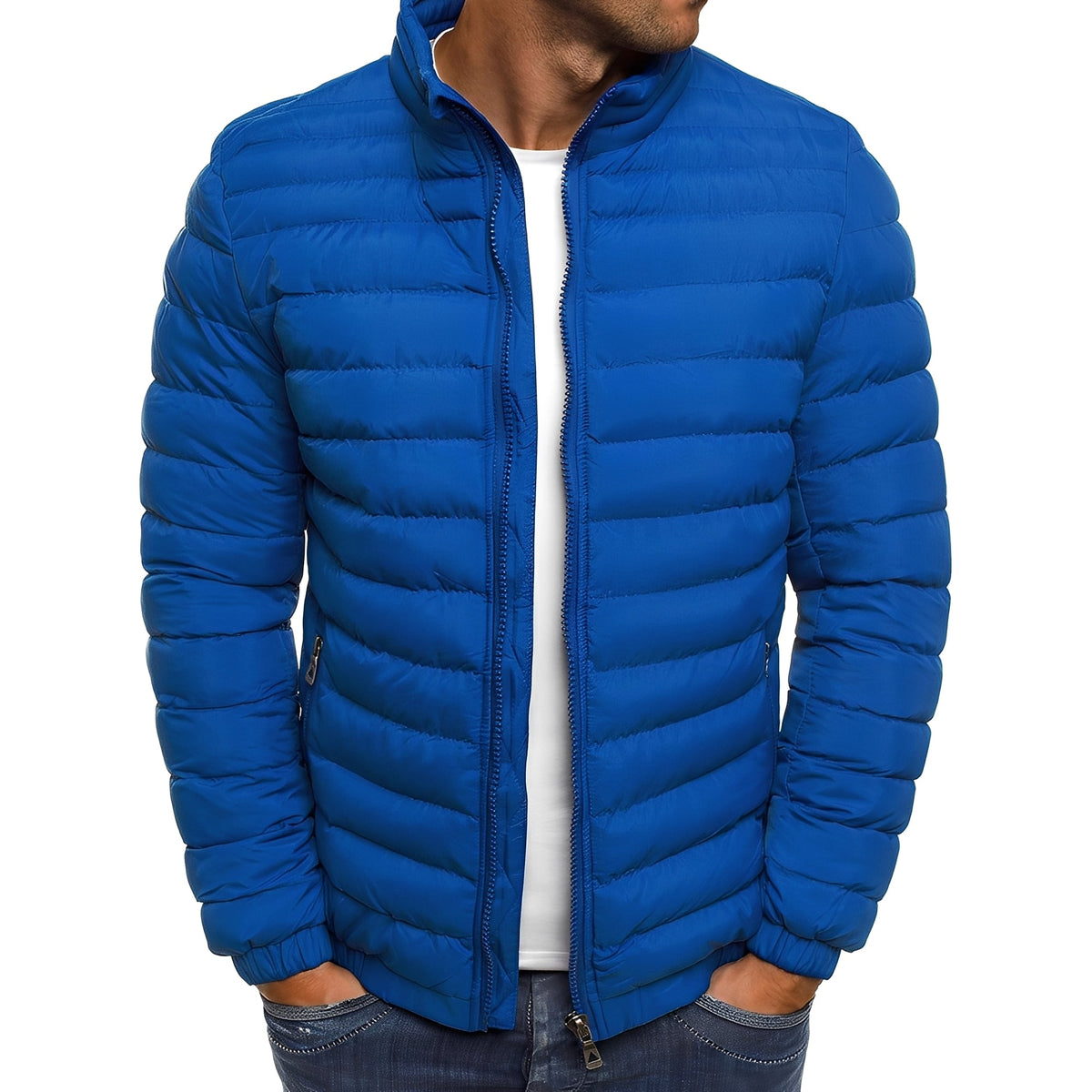 Bernard - Manteau exceptionnel et chaleureux