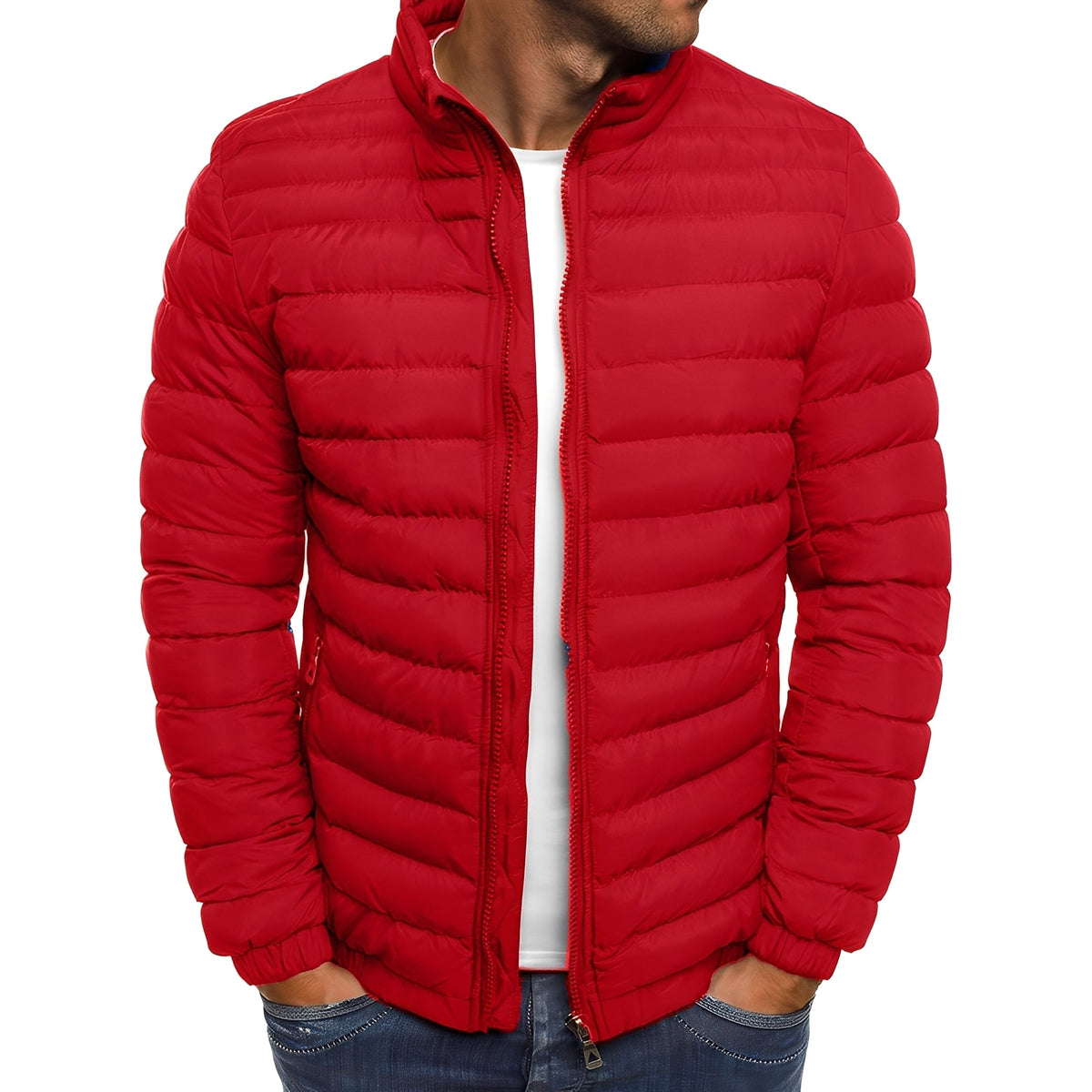 Bernard - Manteau exceptionnel et chaleureux
