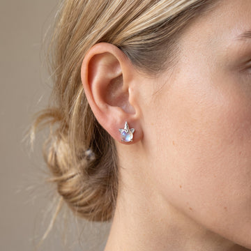 Pegah - Boucles d'oreilles en pierre de licorne argentées